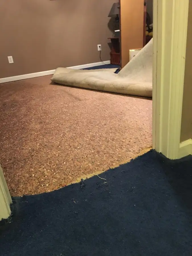Carpet pad removal revealing water damage during Drying & Dehumidification in Presque Isle